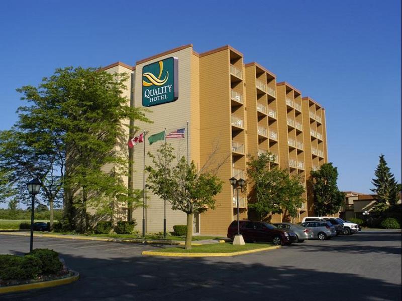 Quality Hotel & Conference Centre Campbellton Dış mekan fotoğraf